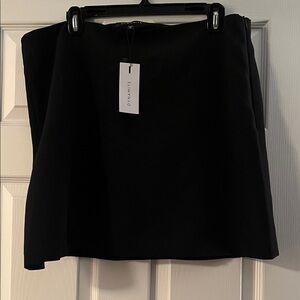 Dynamite Elegant Black Mini Skirt